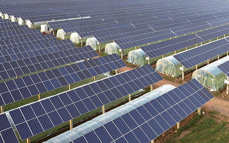 Solar Power System 500KW for Agricultural in Shandong, China in 2018