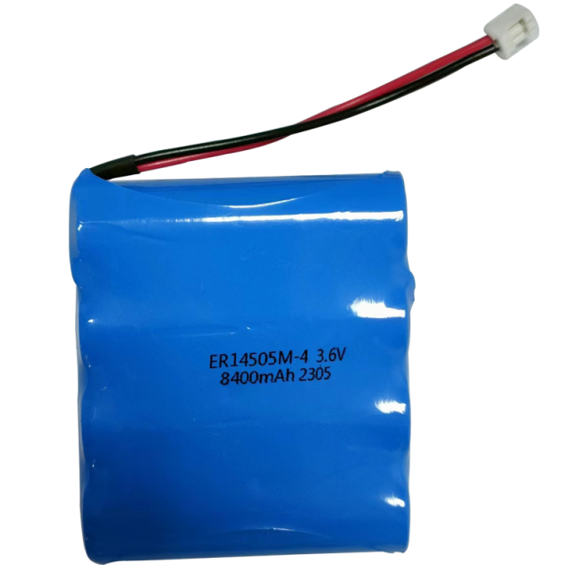 ER14505M-4 lithium battery pack with wires and connector