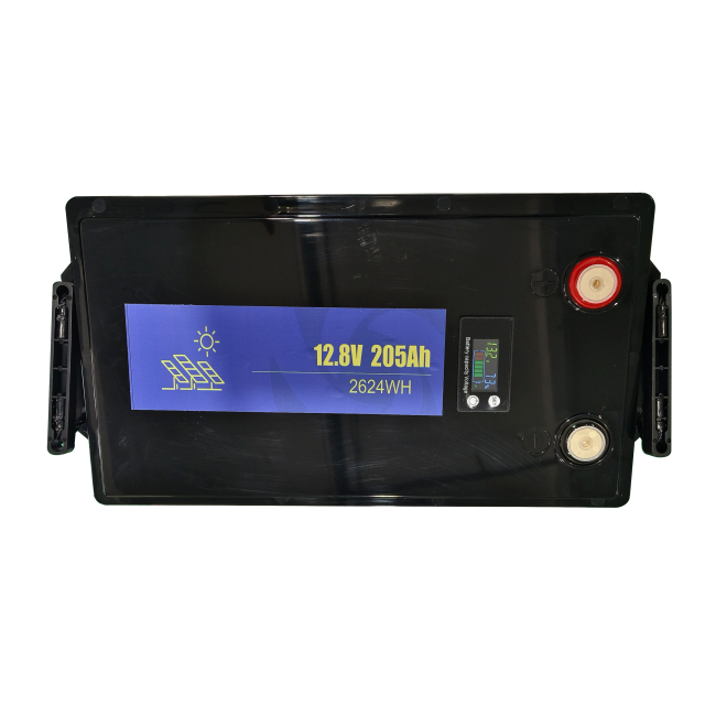 LITHIUM BATTERY MODULE – 12.8V205Ah